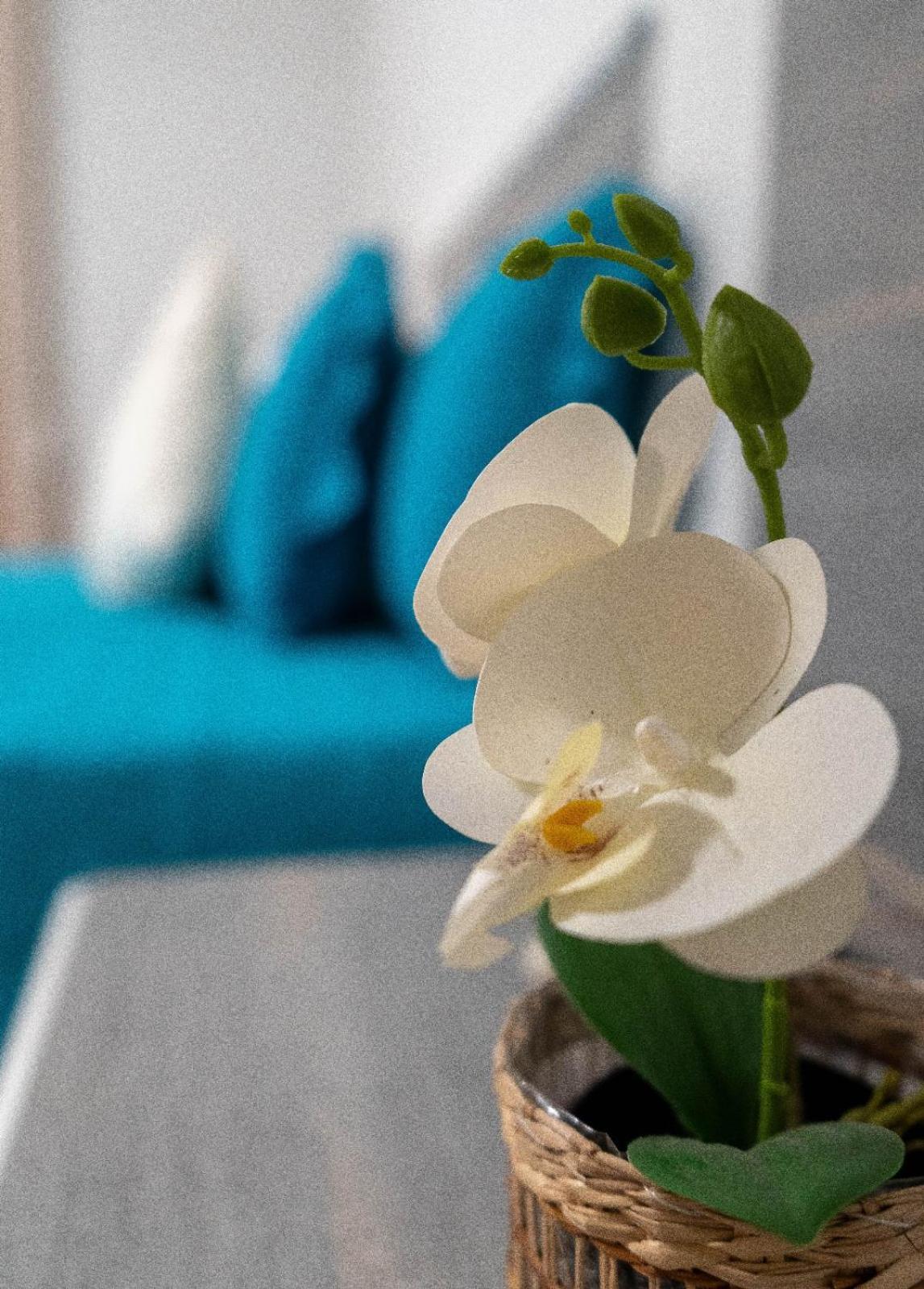 Holiday home Casa De Santo Amaro Aveiro